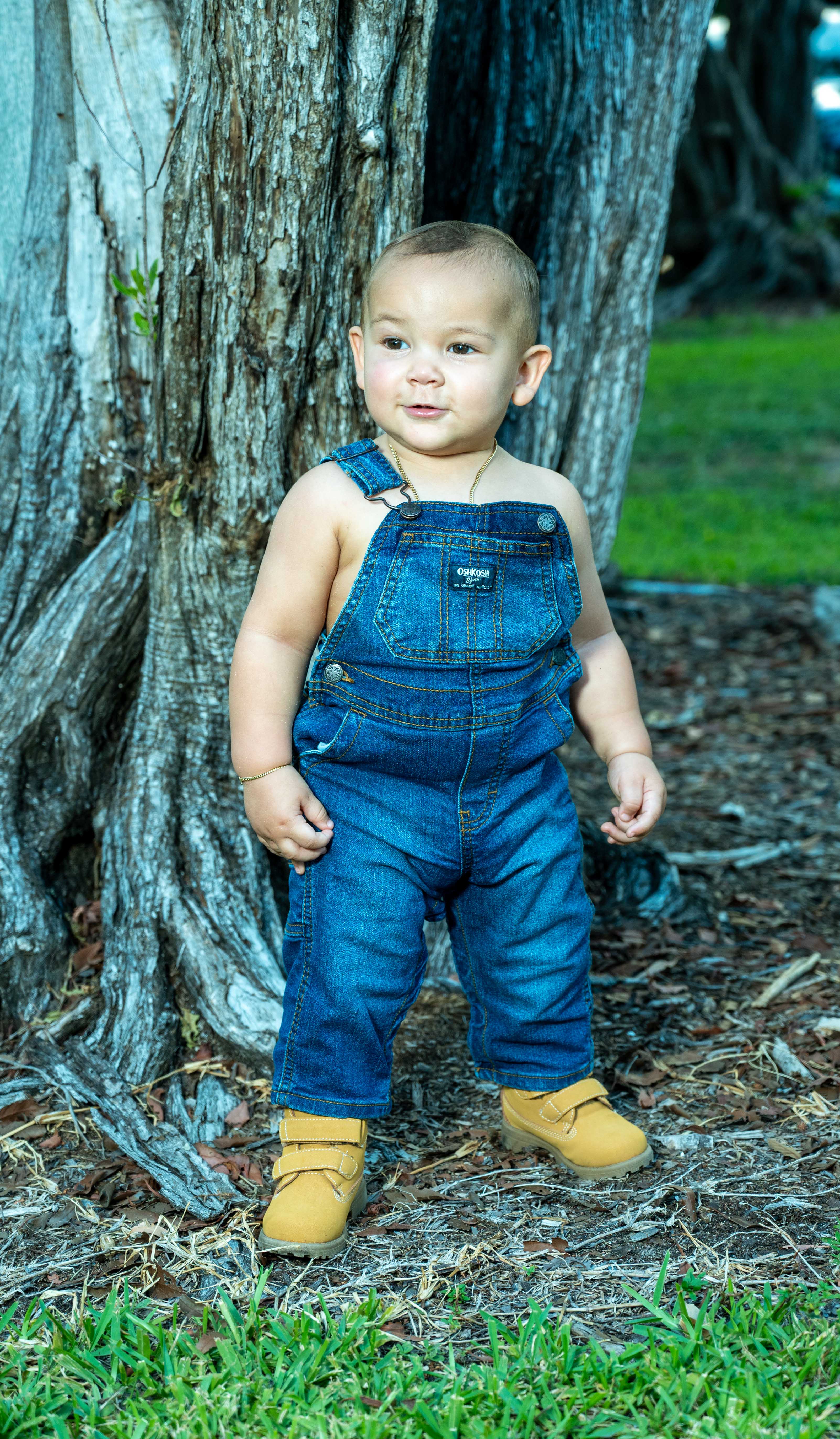 Toddler portrait leaning against a tree trunk